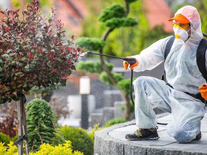 Kestel Haşere İlaçlama